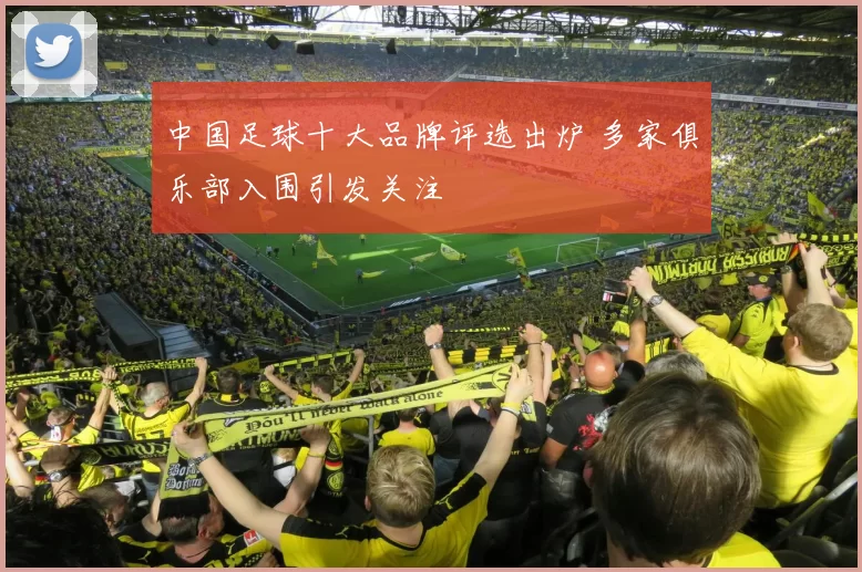 中国足球十大品牌评选出炉 多家俱乐部入围引发关注