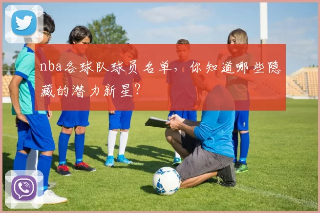 nba各球队球员名单，你知道哪些隐藏的潜力新星？