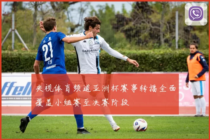 央视体育频道亚洲杯赛事转播全面覆盖小组赛至决赛阶段