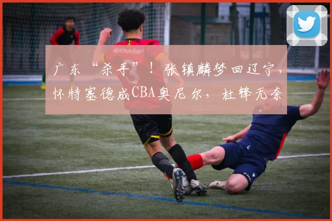广东“杀手”！张镇麟梦回辽宁，怀特塞德成CBA奥尼尔，杜锋无奈
