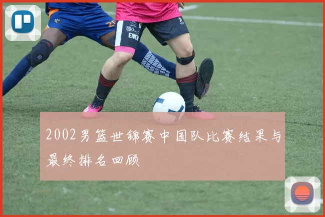 2002男篮世锦赛中国队比赛结果与最终排名回顾