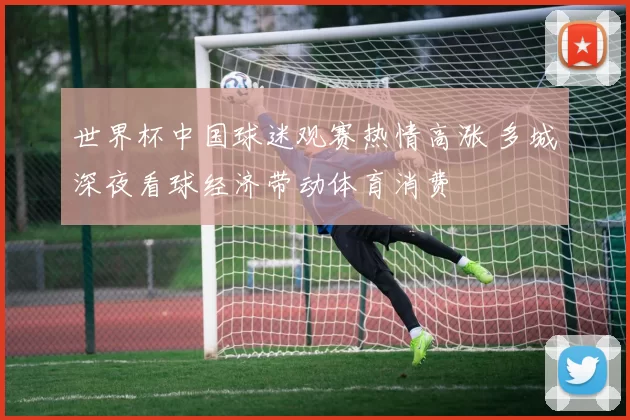 世界杯中国球迷观赛热情高涨 多城深夜看球经济带动体育消费