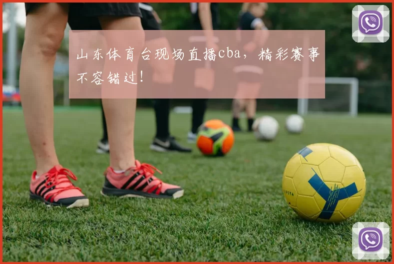山东体育台现场直播cba,精彩赛事不容错过!