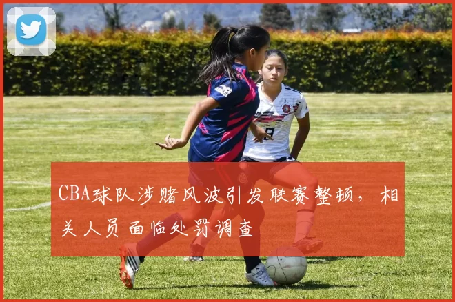 CBA球队涉赌风波引发联赛整顿，相关人员面临处罚调查