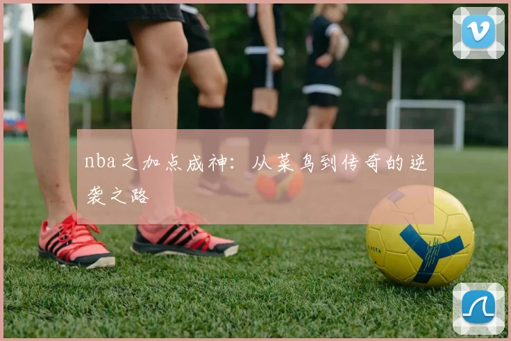 nba之加点成神：从菜鸟到传奇的逆袭之路
