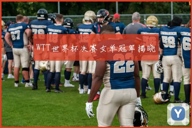 WTT世界杯决赛女单冠军揭晓