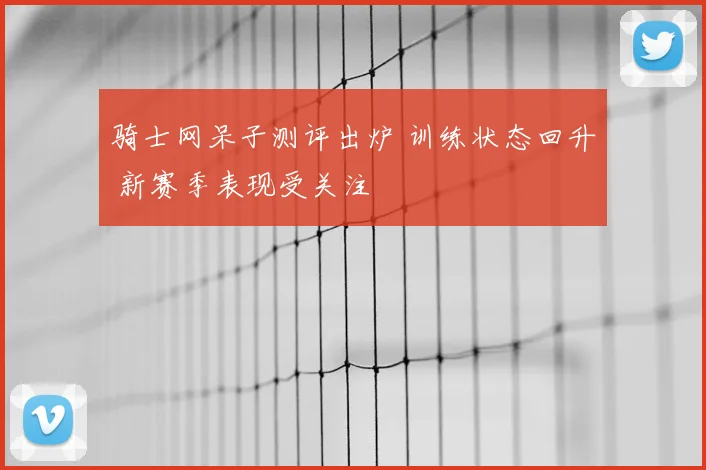 骑士网呆子测评出炉 训练状态回升 新赛季表现受关注