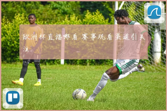 欧洲杯直播哪看 赛事观看渠道引关注