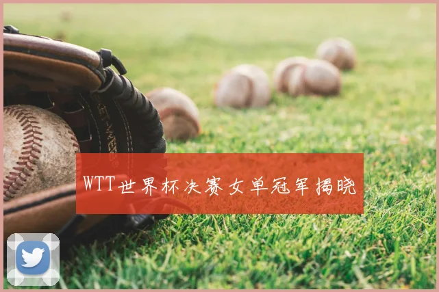 WTT世界杯决赛女单冠军揭晓